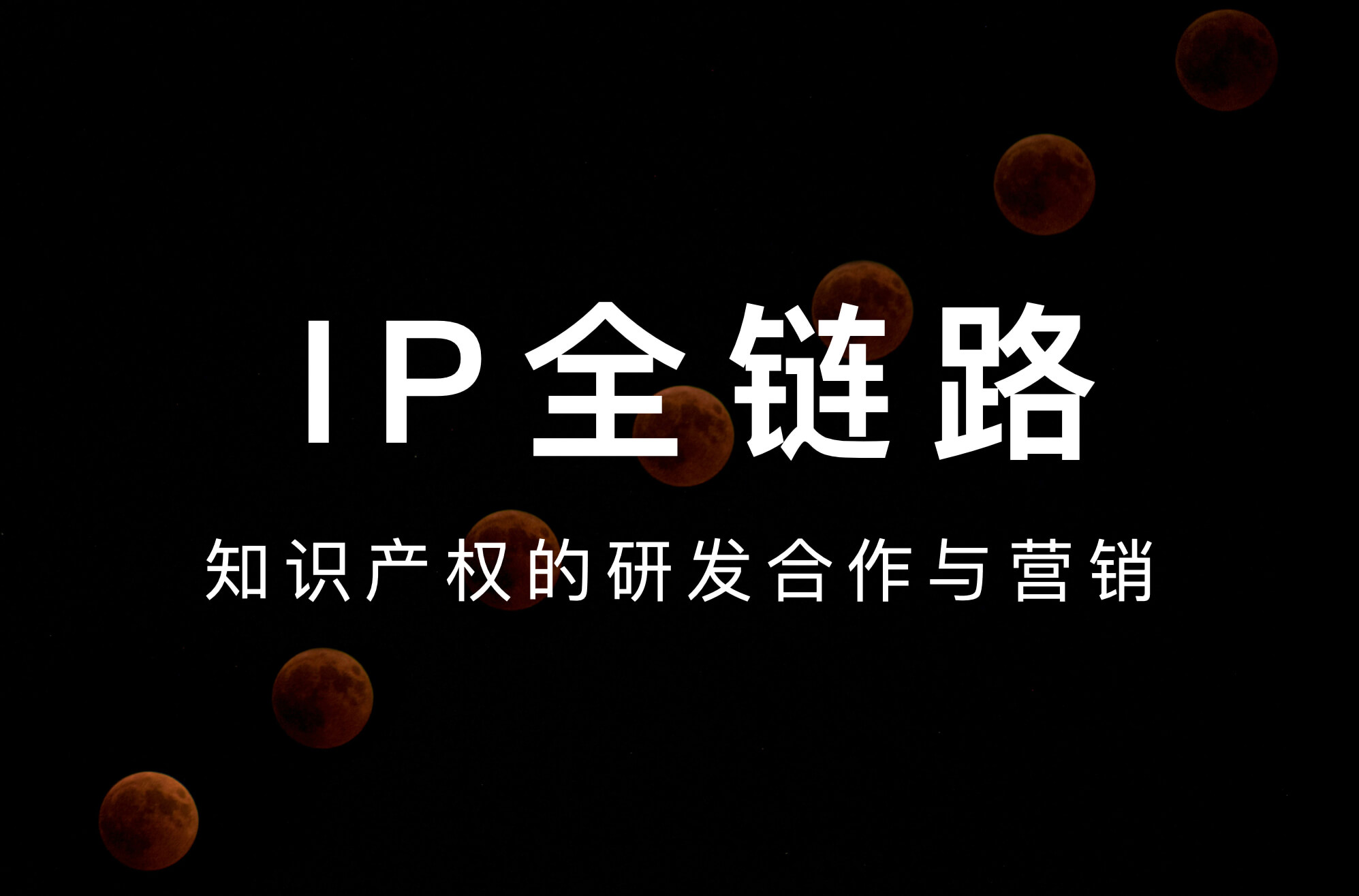 IP全链路孵化能力